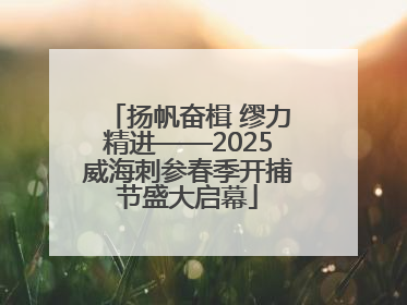 扬帆奋楫 缪力精进——2025威海刺参春季开捕节盛大启幕