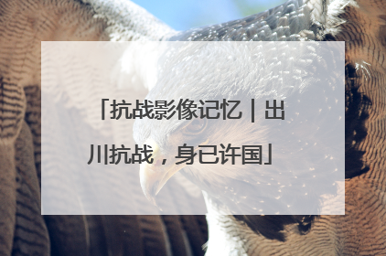 抗战影像记忆｜出川抗战，身已许国