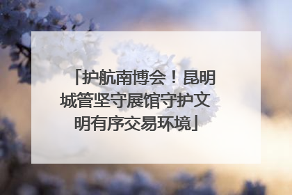 护航南博会！昆明城管坚守展馆守护文明有序交易环境