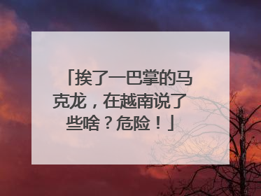 挨了一巴掌的马克龙，在越南说了些啥？危险！