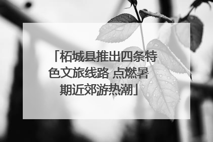 柘城县推出四条特色文旅线路 点燃暑期近郊游热潮