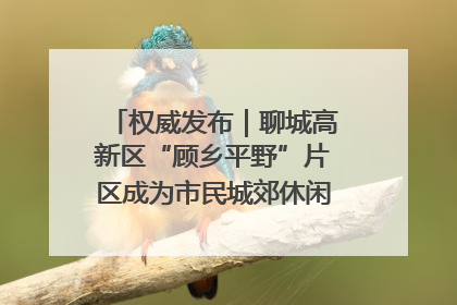 权威发布｜聊城高新区“顾乡平野”片区成为市民城郊休闲全新目的地