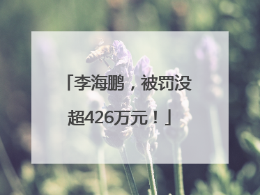 李海鹏，被罚没超426万元！