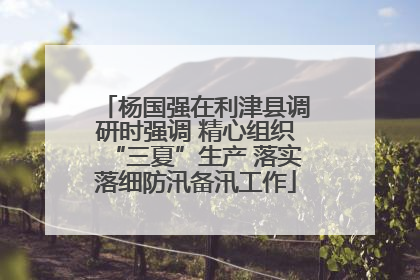 杨国强在利津县调研时强调 精心组织“三夏”生产 落实落细防汛备汛工作