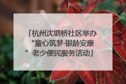 杭州沈塘桥社区举办“童心筑梦·银龄安康”老少便民服务活动