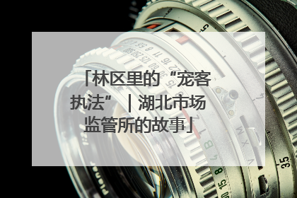 林区里的“宠客执法”｜湖北市场监管所的故事