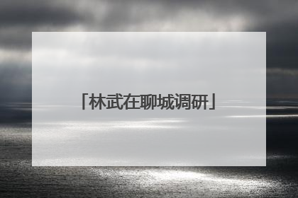 林武在聊城调研