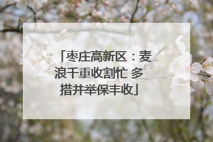 枣庄高新区：麦浪千重收割忙 多措并举保丰收