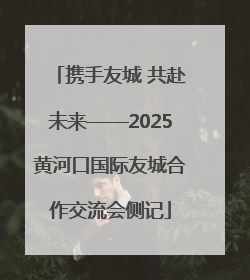 携手友城 共赴未来——2025黄河口国际友城合作交流会侧记