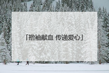 撸袖献血 传递爱心