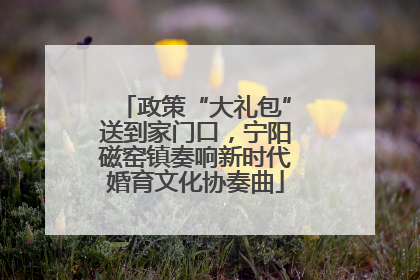 政策“大礼包”送到家门口，宁阳磁窑镇奏响新时代婚育文化协奏曲