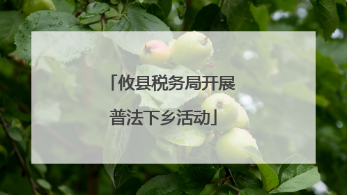 攸县税务局开展普法下乡活动