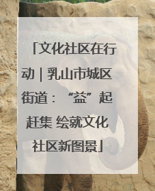 文化社区在行动｜乳山市城区街道：“益”起赶集 绘就文化社区新图景