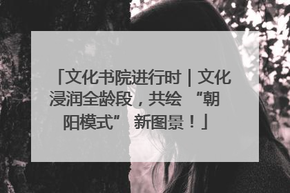 文化书院进行时｜文化浸润全龄段，共绘 “朝阳模式” 新图景！