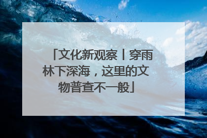 文化新观察丨穿雨林下深海，这里的文物普查不一般