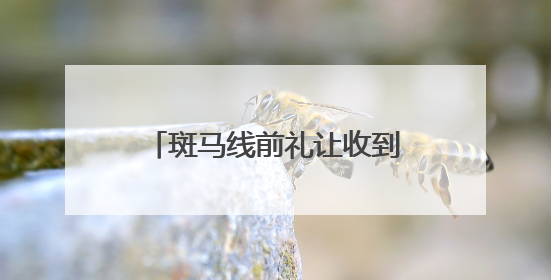 斑马线前礼让收到“夸夸短信”？是真的！浙江一地已有29.6万人收到