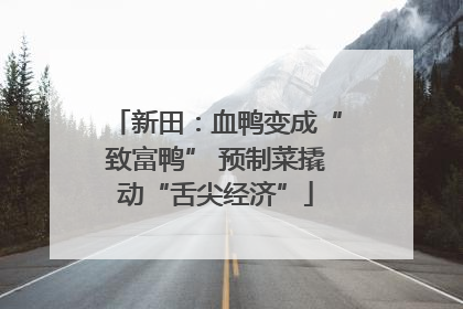 新田：血鸭变成“致富鸭” 预制菜撬动“舌尖经济”