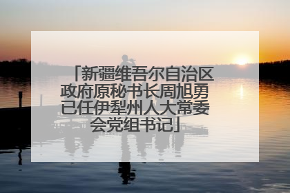 新疆维吾尔自治区政府原秘书长周旭勇已任伊犁州人大常委会党组书记