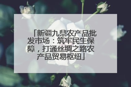 新疆九鼎农产品批发市场：筑牢民生保障，打通丝绸之路农产品贸易枢纽