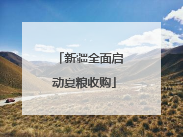 新疆全面启动夏粮收购