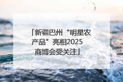新疆巴州“明星农产品”亮相2025商博会受关注