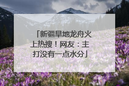 新疆旱地龙舟火上热搜！网友：主打没有一点水分