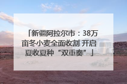 新疆阿拉尔市：38万亩冬小麦全面收割 开启夏收夏种“双重奏”