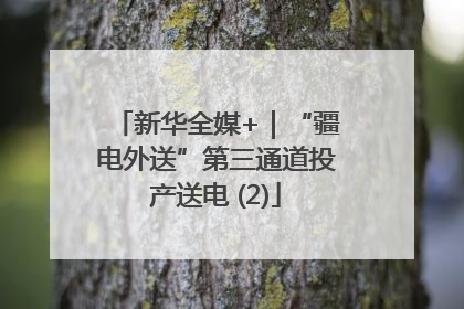新华全媒+｜“疆电外送”第三通道投产送电 (2)