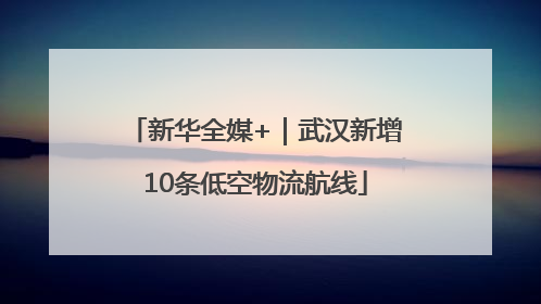 新华全媒+｜武汉新增10条低空物流航线