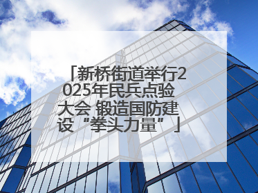 新桥街道举行2025年民兵点验大会 锻造国防建设“拳头力量”