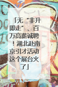 无“非升即走”、百万高薪诚聘！湖北赴南京引才活动这个展台火了