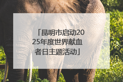 昆明市启动2025年度世界献血者日主题活动