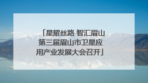 星耀丝路 智汇眉山 第三届眉山市卫星应用产业发展大会召开