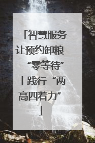 智慧服务让预约卸粮“零等待”丨践行“两高四着力”