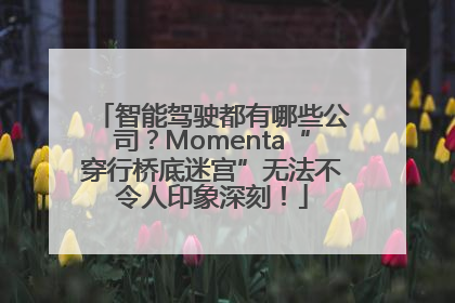 智能驾驶都有哪些公司？Momenta“穿行桥底迷宫”无法不令人印象深刻！