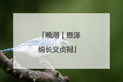 晚潮｜恩泽绵长义贞祠