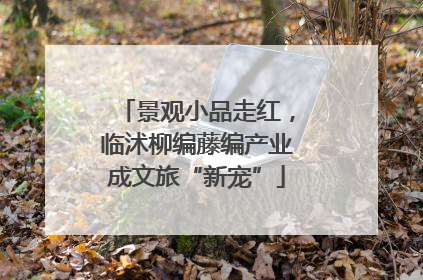 景观小品走红，临沭柳编藤编产业成文旅“新宠”