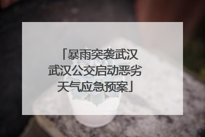 暴雨突袭武汉 武汉公交启动恶劣天气应急预案