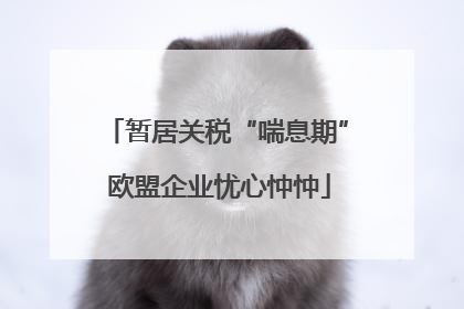 暂居关税“喘息期” 欧盟企业忧心忡忡