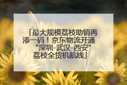 最大规模荔枝助销再添一码！京东物流开通“深圳-武汉-西安” 荔枝全货机航线