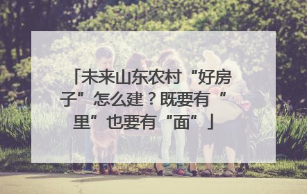 未来山东农村“好房子”怎么建？既要有“里”也要有“面”