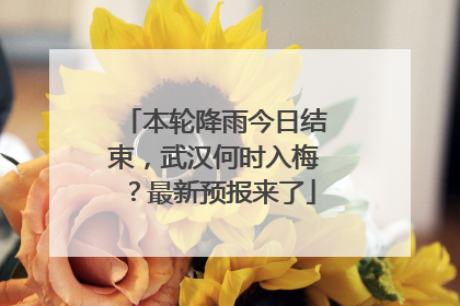 本轮降雨今日结束，武汉何时入梅？最新预报来了