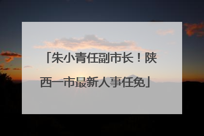 朱小青任副市长！陕西一市最新人事任免
