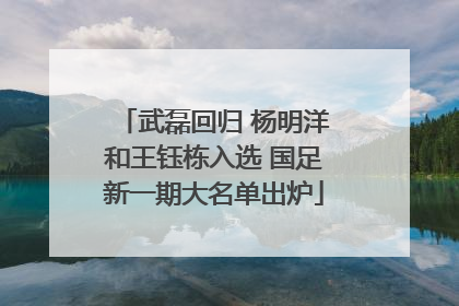 武磊回归 杨明洋和王钰栋入选 国足新一期大名单出炉