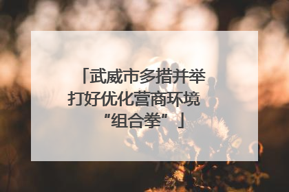 武威市多措并举打好优化营商环境“组合拳”