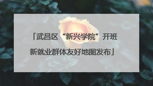 武昌区“新兴学院”开班 新就业群体友好地图发布
