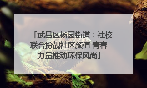 武昌区杨园街道：社校联合扮靓社区颜值 青春力量推动环保风尚