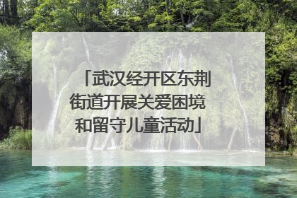 武汉经开区东荆街道开展关爱困境和留守儿童活动