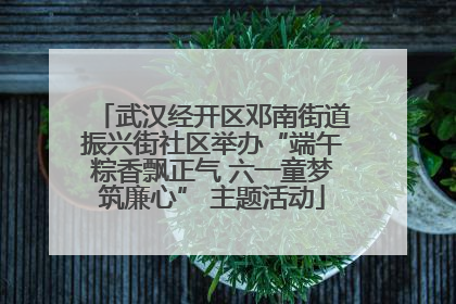 武汉经开区邓南街道振兴街社区举办“端午粽香飘正气 六一童梦筑廉心” 主题活动