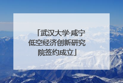武汉大学·咸宁低空经济创新研究院签约成立